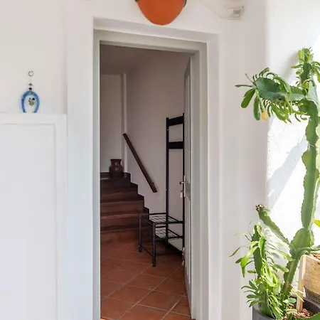 Vagia Calm House 2